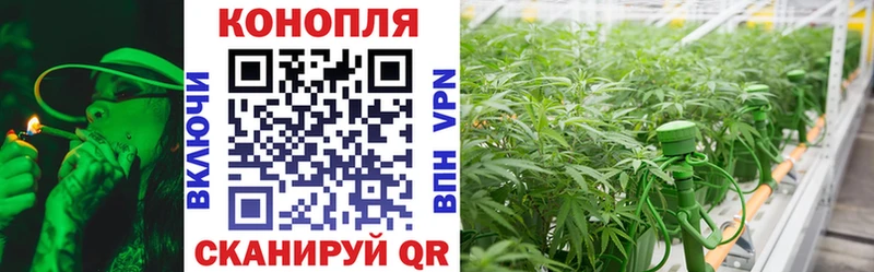Купить где  Сертолово  МАРИХУАНА сатива 
